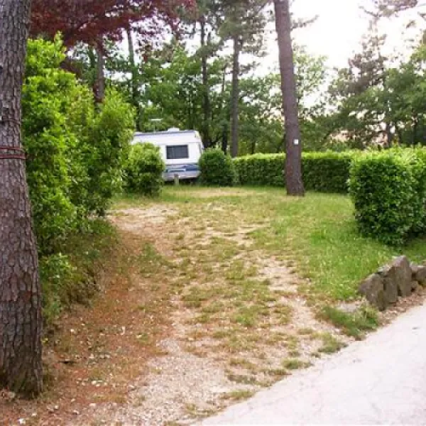 campeggio-barco-reale-lamporecchio-lykei