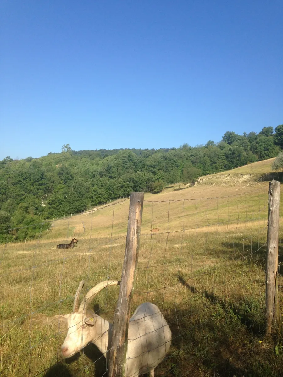 camping-viora-paroldo-raonq