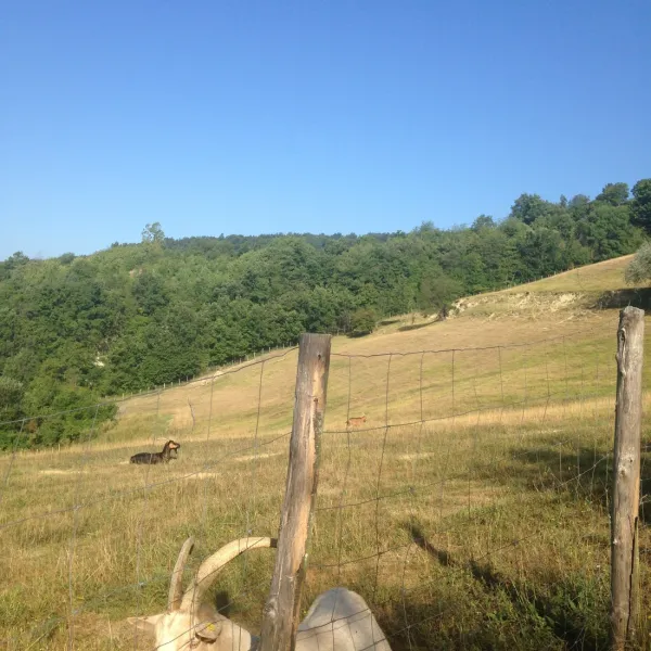 camping-viora-paroldo-raonq