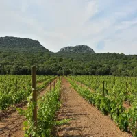 camping-le-graniers-monoblet-rirl3