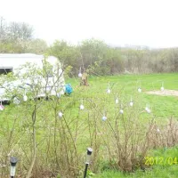 campingpark-kalletal-am-stemmer-see-kalletalvarenholz-xervb