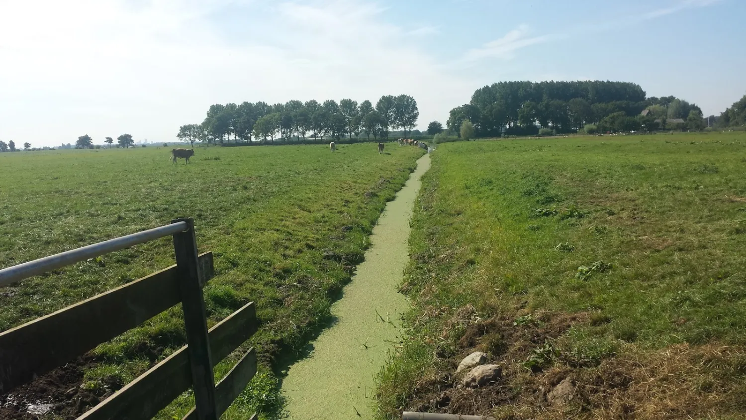camping-kaasboerderij-rustdam-zoeterwoude-rpqsp