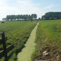 Camping Kaasboerderij Rustdam
