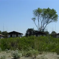 ada-bojana-ulcinj-6orcf