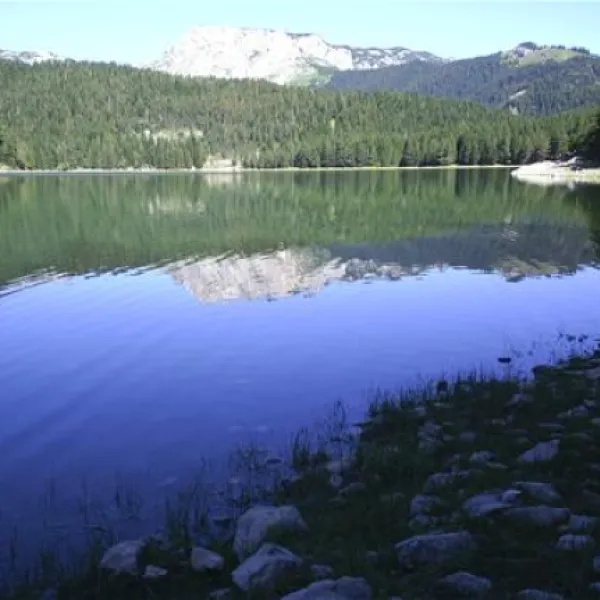 camp-kod-boce-zabljak-7uqc9
