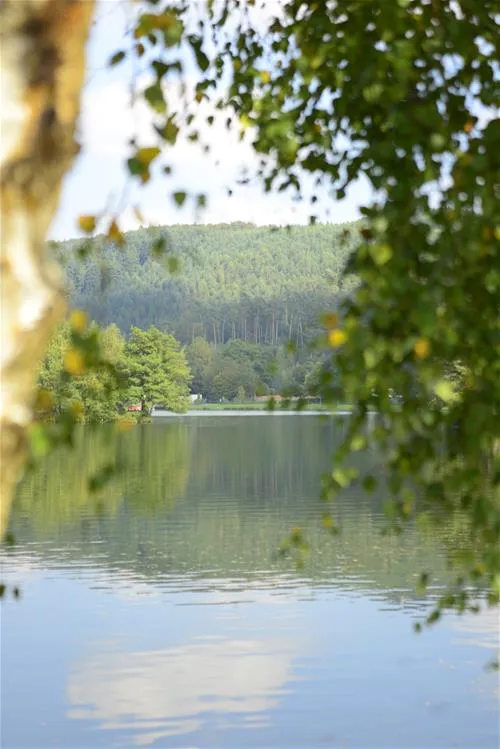 camping-clausensee-waldfischbachburgalben-48c3z