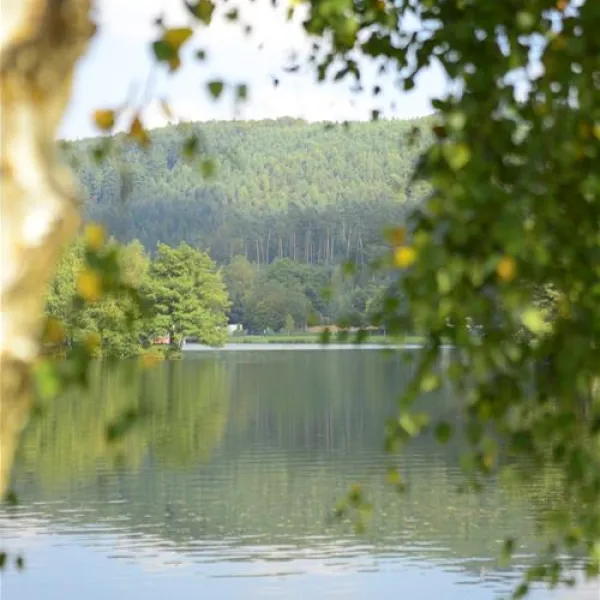 camping-clausensee-waldfischbachburgalben-48c3z