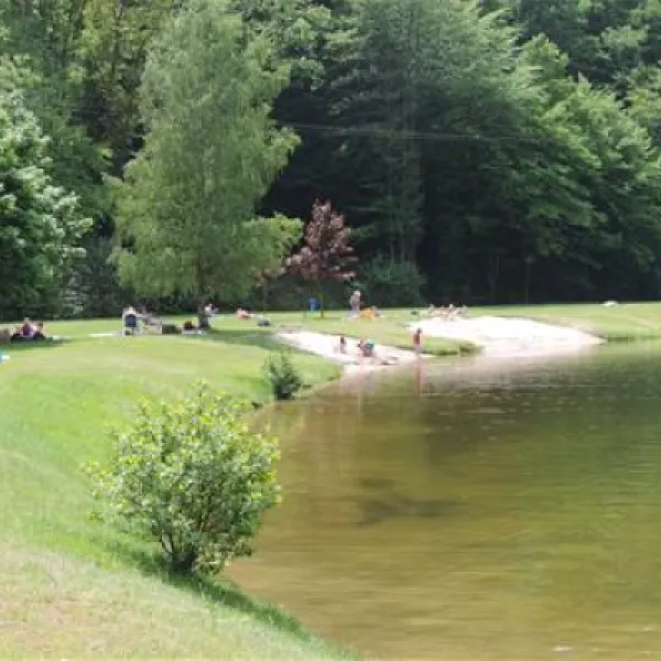 camping-clausensee-waldfischbachburgalben-5kw84