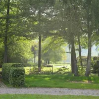 camping-clausensee-waldfischbachburgalben-agape