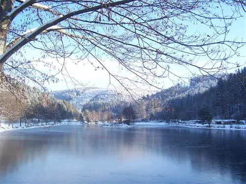 camping-clausensee-waldfischbachburgalben-ap3ov
