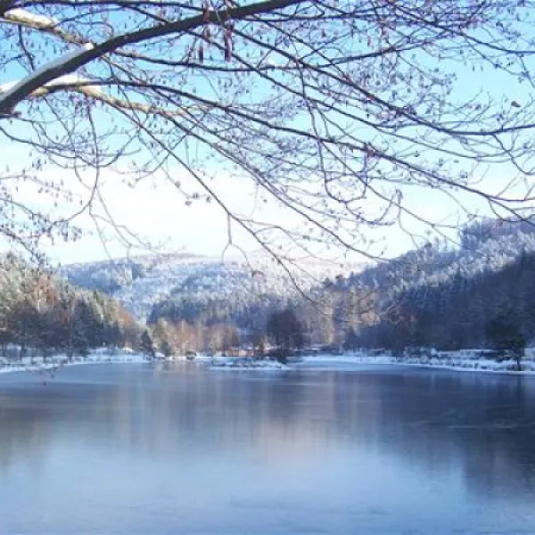 camping-clausensee-waldfischbachburgalben-ap3ov