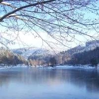 camping-clausensee-waldfischbachburgalben-ap3ov