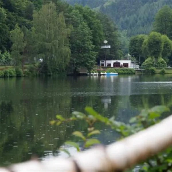 camping-clausensee-waldfischbachburgalben-bfgq1