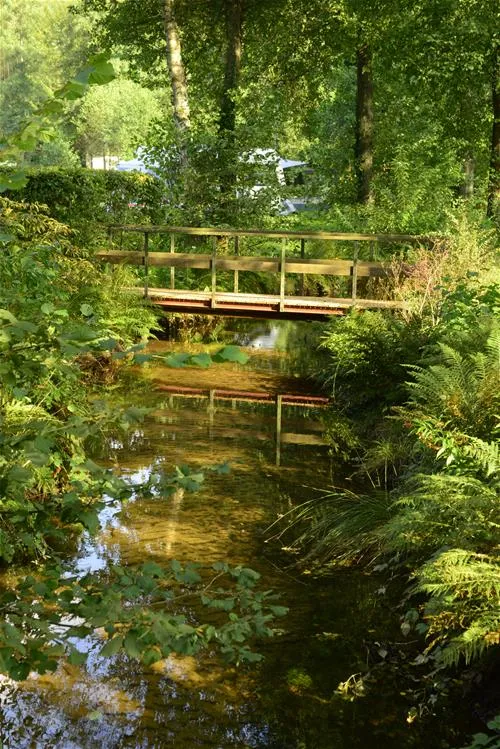 camping-clausensee-waldfischbachburgalben-daiom
