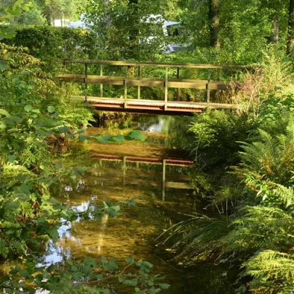 camping-clausensee-waldfischbachburgalben-daiom