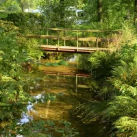 camping-clausensee-waldfischbachburgalben-daiom