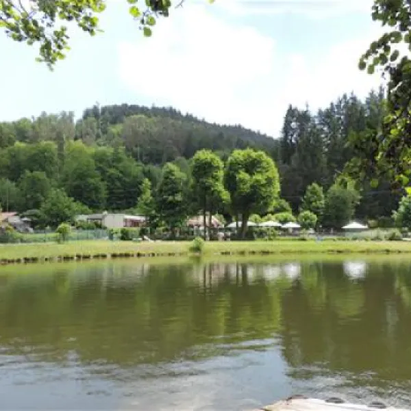 camping-clausensee-waldfischbachburgalben-rtcbu