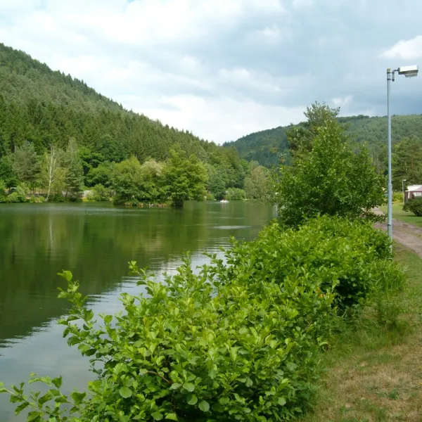 camping-clausensee-waldfischbachburgalben-t45j2