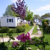 Camping La Petite Ville