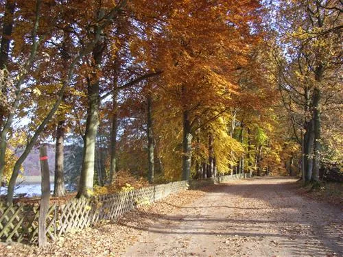 campingplatz-stendenitz-neuruppin-ot-stendenitz-j26mz
