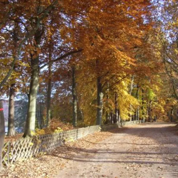 campingplatz-stendenitz-neuruppin-ot-stendenitz-j26mz