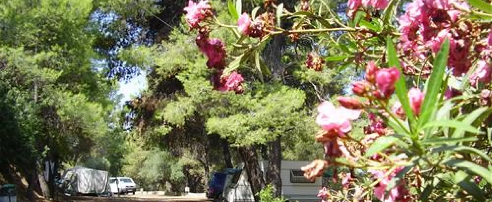 Campsite Marmara