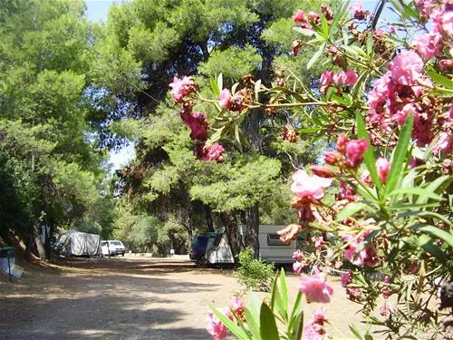 campsite-marmara-neos-marmaras-gpo4z