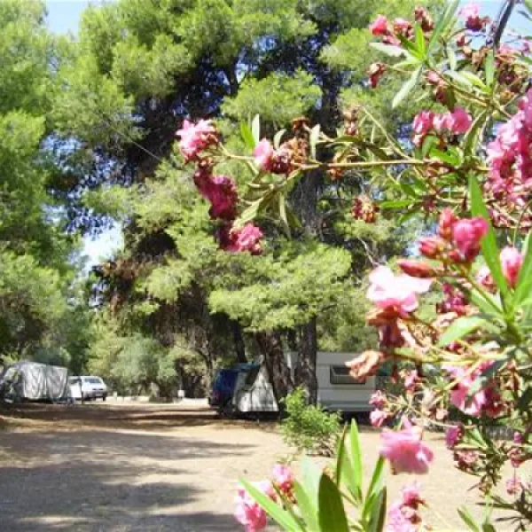 campsite-marmara-neos-marmaras-gpo4z