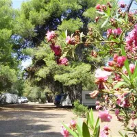 campsite-marmara-neos-marmaras-gpo4z