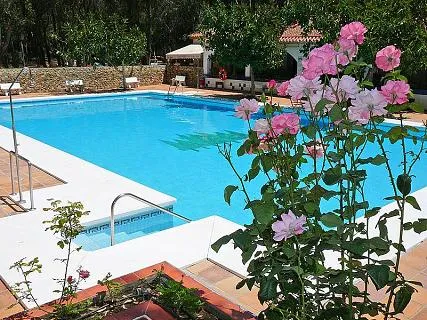 camping-los-eucaliptos-conil-de-la-frontera-ru1ye