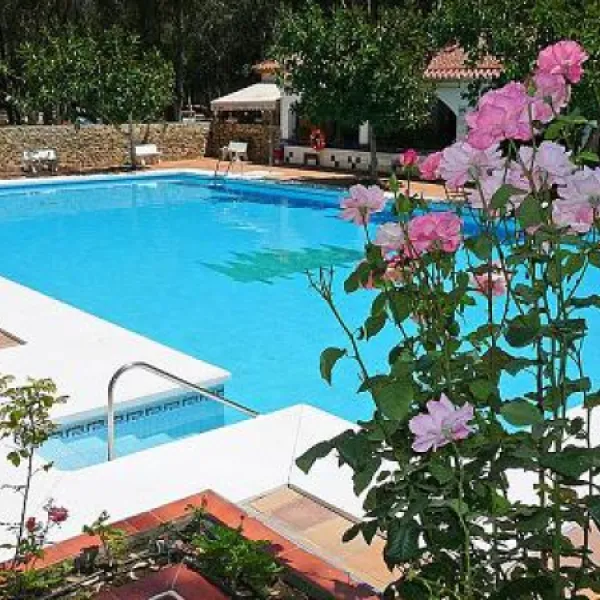 camping-los-eucaliptos-conil-de-la-frontera-ru1ye