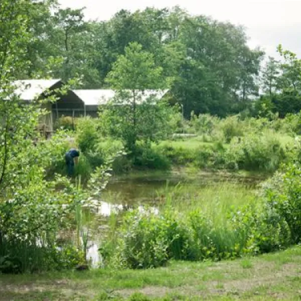 uylkenshof-emst-mwguy