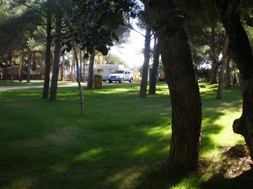 camping-la-torre-del-sol-montroig-del-camp-493k4