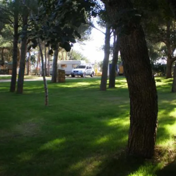 camping-la-torre-del-sol-montroig-del-camp-493k4