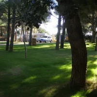 camping-la-torre-del-sol-montroig-del-camp-493k4
