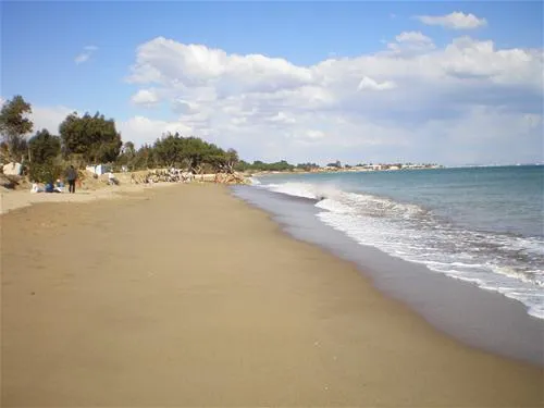 camping-la-torre-del-sol-montroig-del-camp-nnkjk