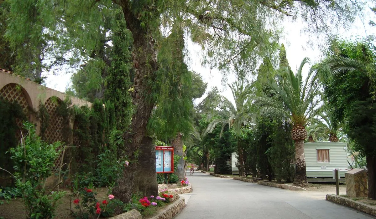 camping-la-torre-del-sol-montroig-del-camp-vmwzq