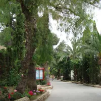 camping-la-torre-del-sol-montroig-del-camp-vmwzq