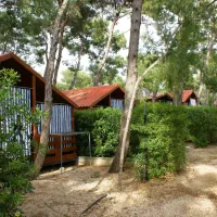 Campeggio Pineta al Mare