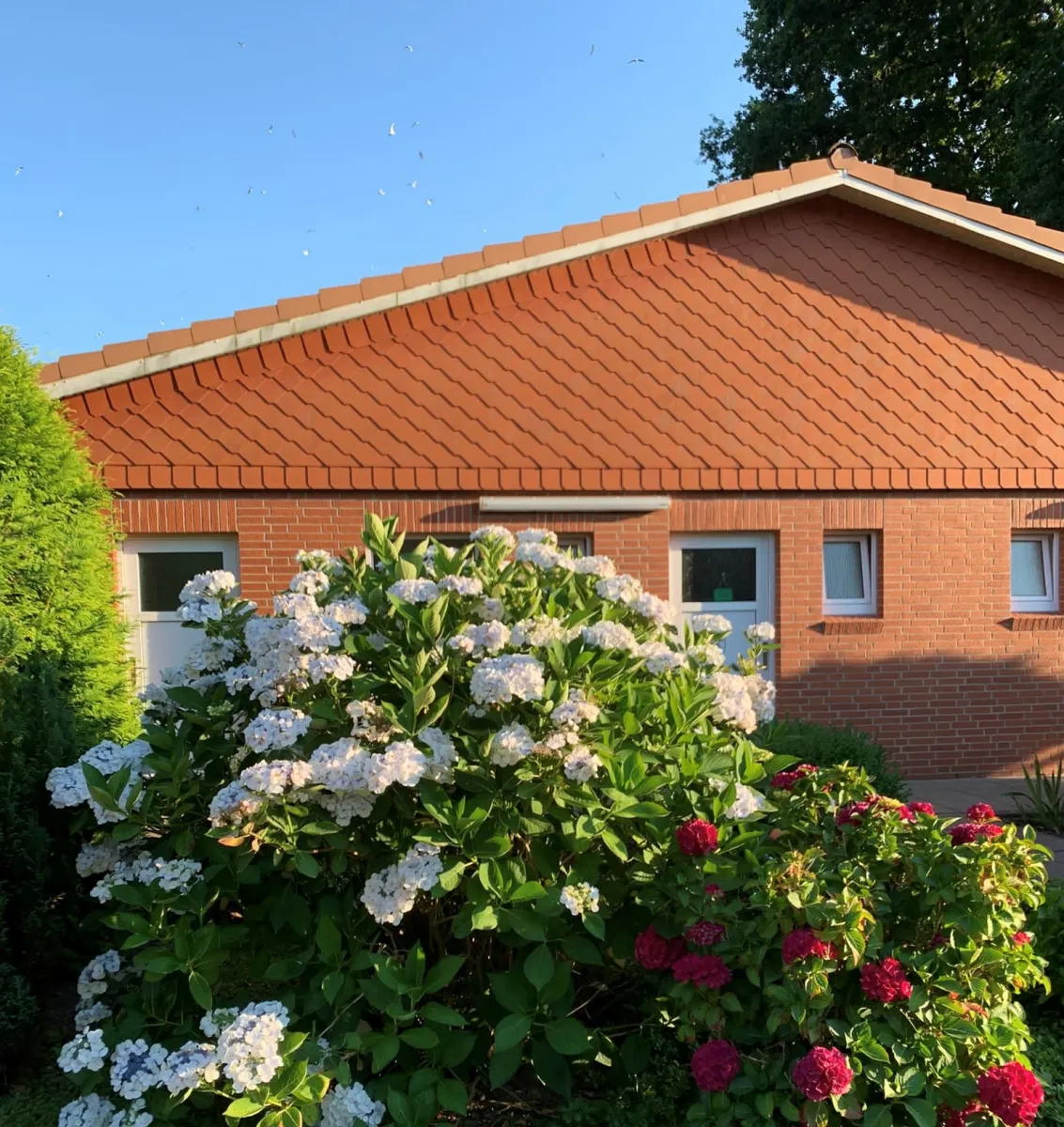 camping-achtern-huus-cuxhavensahlenburg-ualbt