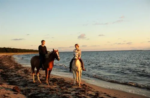 roosta-holiday-village-elbikulbck-0niyq