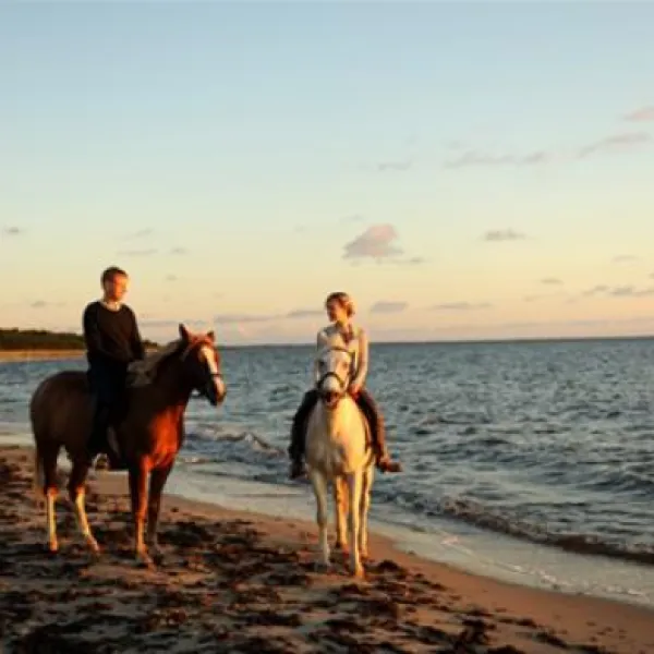 roosta-holiday-village-elbikulbck-0niyq
