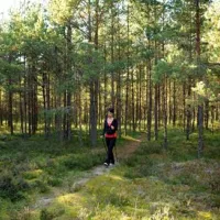 roosta-holiday-village-elbikulbck-vci1s