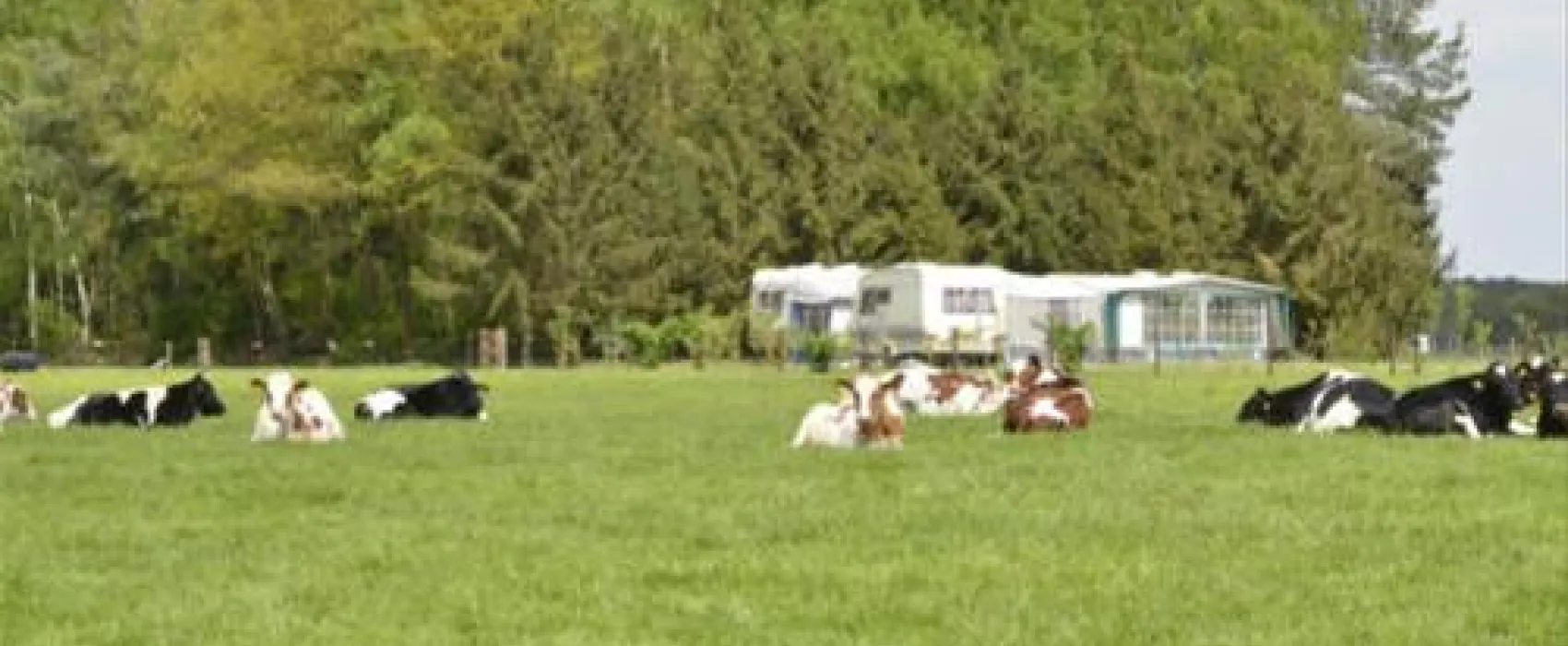 Camping Wolfersweide
