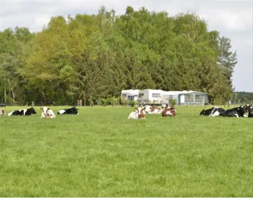 camping-wolfersweide-zelhem-fatev