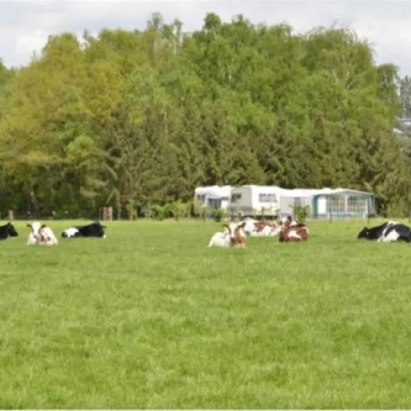camping-wolfersweide-zelhem-fatev