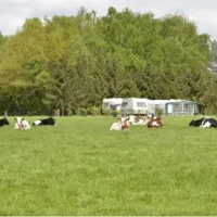 camping-wolfersweide-zelhem-fatev