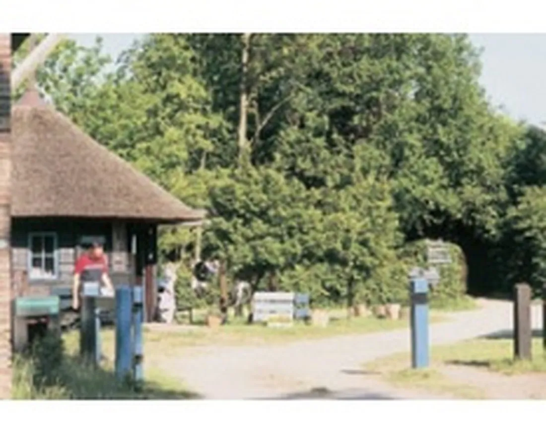 natuurkampeerterrein-het-hallse-hull-hall-loxcb