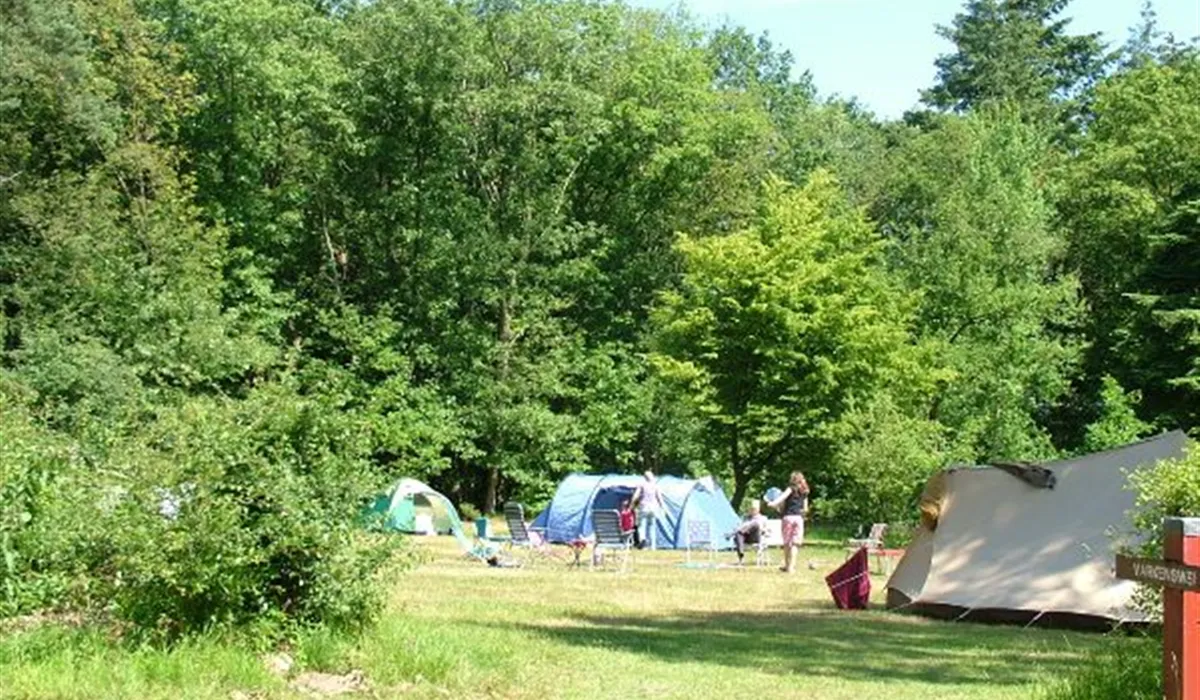 natuurkampeerterrein-het-hallse-hull-hall-ygxvm