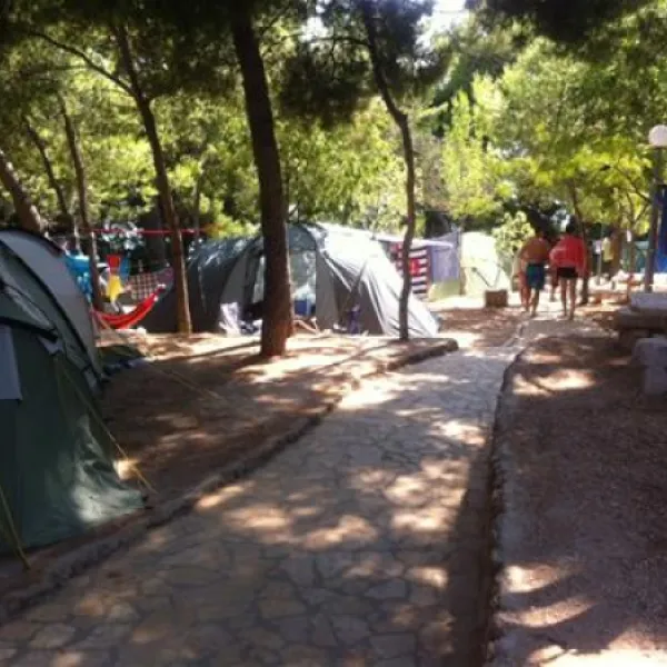 camp-adriatic-orebic-dvgec